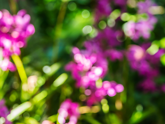 포토 JPG 해외이미지 도로 여행 백그라운드 크리스마스 교통시설 모션 자동차 추상 불꽃 거리 사람없음 아웃포커스 빨간색 파란색 빛 노란색 검은색 어둠 활발 도시 고급 야간 소프트포커스 출퇴근 방콕 보케 정의 방법 블러 많음 유흥 해외202004 해외포토 자연요소 기념일 길 육상교통 컬러 교통 컨셉 무늬 비즈니스 태국 불 촬영기법 시설 파일형식 이미지허브