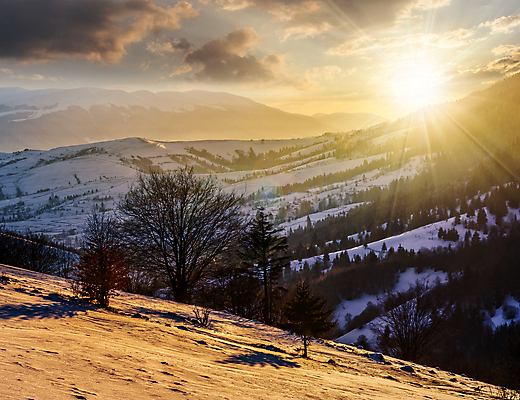 포토 JPG 해외이미지 나무 계절 유럽 여행 겨울 자연 하늘 아침 날씨 휴가 산 풍경 사람없음 야외 목재 파란색 빛 컬러풀 햇빛 태양 노란색 마을 일출 계곡 일몰 새벽 추위 가을 시골 신선 소나무 숲 언덕 서리 통나무 장면 상록수 전나무 웅장함 절정 해외202004 해외포토 주간 자연요소 식물 나라 컬러 재료 노을 생태계 파일형식 이미지허브