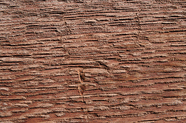 포토 JPG 해외이미지 나무 디자인 선 백그라운드 유니폼 잎 자연 표면 사람없음 목재 장식 여름 햇빛 태양 숫자 웹 나뭇가지 구멍 거친 주름 작업실 널 숲 자르기 유기농 질감 목공예 나무껍질 내추럴 옛날 톱밥 해외202004 해외포토 자연요소 식물 문자 웰빙 옷 계절 인터넷 재료 모션 껍질 가루 공예 생태계 파일형식 이미지허브