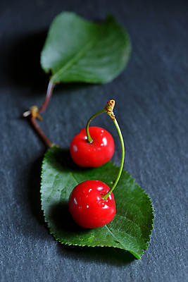 포토 JPG 해외이미지 접시 열매 음식 잎 과일 자연 유리 탁자 디저트 건강 사람없음 빨간색 초록색 정원 얼음 검은색 주스 추위 신선 체리 그룹 달콤 맛 먹기 유기농 날것 흙더미 숙성 채식주의자 해외202004 해외포토 자연요소 식물 식기 웰빙 음료 컬러 가구 컨셉 모션 재질 흙 생태계 채식 파일형식 더미 이미지허브