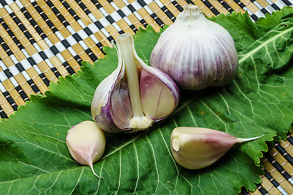 포토 JPG 해외이미지 식물 음식 백그라운드 채소 재료 자연 건강 마늘 요리 사람없음 초록색 수확 시골 신선 허브 향신료 유기농 날것 피클 숙성 오이피클 절임 채식주의자 핸드메이드 해외202004 해외포토 웰빙 컬러 농업 생태계 채식 향미료 파일형식 이미지허브