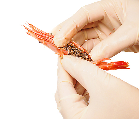 포토 JPG 해외이미지 모양 손 음식 분홍색 장갑 백그라운드 다이어트 조개 새우 건강 관리 갑각류 요리 사람없음 머리 식사 촉촉함 흰색 신선 맛 씻기 청소 해산물 피부 질감 점심식사 고립 라텍스 삶기 해외202004 해외포토 동물 잡화 컬러 컨셉 어패류 신체부위 청결 젖음 파일형식 이미지허브