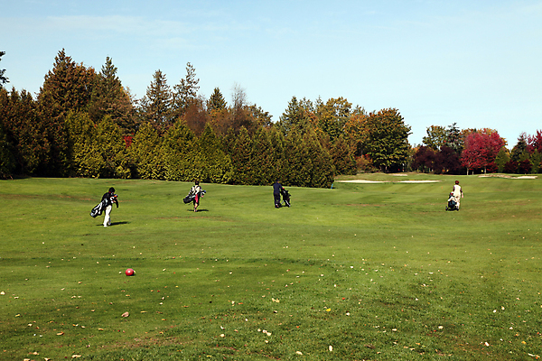 포토 JPG 해외이미지 나무 스포츠 캐나다 골프 휴가 영국 경기 사람없음 초록색 경쟁 고급 강의 페어웨이 표준 해외202004 해외포토 식물 유럽 컬러 컨셉 북아메리카 구기 파일형식 이미지허브