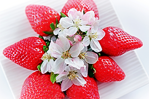 포토 JPG 해외이미지 식물 열매 꽃 음식 백그라운드 꽃무늬 농업 다이어트 과일 자연 딸기 디저트 건강 사람없음 빨간색 초록색 정원 봄 벚꽃 흰색 신선 달콤 맛 유기농 내추럴 고립 채식주의자 해외202004 해외포토 웰빙 계절 산업 컬러 컨셉 무늬 생태계 채식 파일형식 이미지허브