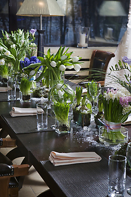 포토 JPG 해외이미지 식물 계절 꽃잎 꽃 꽃다발 잎 꽃무늬 자연 탁자 친절 발렌타인데이 선물 사람없음 초록색 파란색 컬러풀 식당 꽃병 얼음 봄 튤립 벚꽃 신선 개화 날짜 다발 꽃집 심볼 묘사 라일락 내추럴 강렬 히아신스 해외202004 해외포토 자연요소 컬러 가구 무늬 데이이벤트 상점 생태계 파일형식 이미지허브