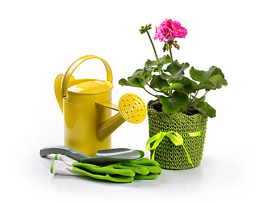 포토 JPG 해외이미지 식물 계절 꽃 분홍색 장갑 백그라운드 농업 취미 사람없음 초록색 여름 세트 컬러풀 노란색 정원 봄 장비 흰색 도구 업무 캔 냄비 삽 물주기 원예 고립 원예사 제라늄 해외202004 해외포토 직업 잡화 산업 컬러 모션 작업 솥 파일형식 이미지허브