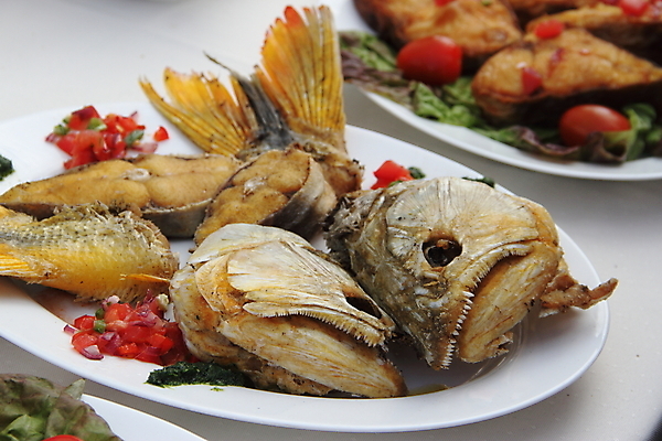 포토 JPG 해외이미지 접시 음식 백그라운드 토마토 채소 건강 육류 어류 요리 앉기 사람없음 초록색 식당 식사 저녁식사 샐러드 튀김 흰색 신선 고명 체리 맛 그릴 바비큐 굽기 해산물 점심식사 고립 베이스 해외202004 해외포토 식기 컬러 컨셉 과일 식재료 모션 주방용품 현악기 상점 수중동물 구이 파일형식 이미지허브