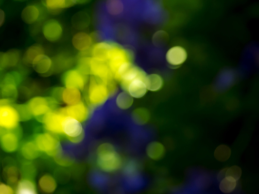 포토 JPG 해외이미지 도로 여행 백그라운드 크리스마스 교통시설 모션 자동차 추상 불꽃 거리 사람없음 아웃포커스 빨간색 파란색 빛 노란색 검은색 어둠 활발 도시 고급 야간 소프트포커스 출퇴근 방콕 보케 정의 방법 블러 많음 유흥 해외202004 해외포토 자연요소 기념일 길 육상교통 컬러 교통 컨셉 무늬 비즈니스 태국 불 촬영기법 시설 파일형식 이미지허브