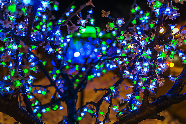 포토 JPG 해외이미지 나무 디자인 배너 계절 행복 백그라운드 크리스마스 겨울 패턴 추상 휴가 조명 새로움 기념 프레임 사람없음 장식 가로 빛 컬러풀 우주 축제 화환 어둠 수확 나뭇가지 시골 축하 신용카드 거친 널 정상 야간 연도 질감 복고 전나무 옛날 가문비나무 해외202004 해외포토 자연요소 식물 기념일 꽃 감정 컬러 컨셉 무늬 농업 금융 파일형식 이미지허브