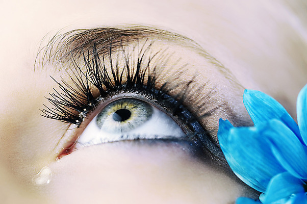 포토 JPG 해외이미지 백인 모델 응시 여자 꽃잎 한명 사람 근접촬영 성인 파란색 뷰티 우아함 눈썹 속눈썹 마스카라 의료성형뷰티 스타일 성인여자한명만 해외202004 해외포토 서양인 1 시선 꽃 얼굴 뷰포인트 컬러 컨셉 화장품 여자한명만 성인여자만 파일형식 이미지허브