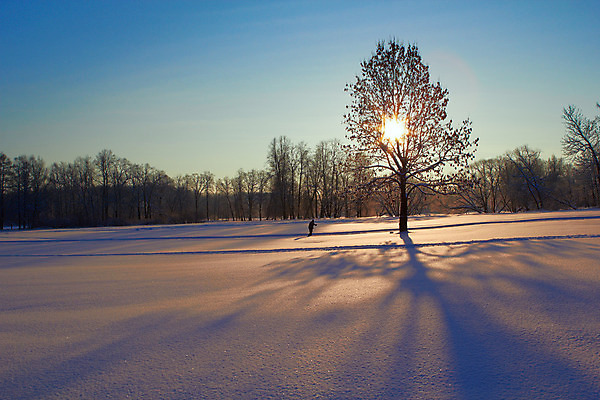 포토 JPG 해외이미지 나무 식물 구름 1 계절 공원 실루엣 백그라운드 크리스마스 겨울 밭 자연 하늘 날씨 그림자 풍경 사람없음 야외 목재 파란색 빛 태양 맑음 얼음 검은색 회색 추위 흰색 나뭇가지 시골 고독 숲 12월 땅 싱글 서리 스키선수 벌거벗은 혼자 수평선 해외202004 해외포토 자연요소 공공시설 기념일 감정 컬러 농업 재료 운동선수 촬영기법 날짜 생태계 파일형식 이미지허브