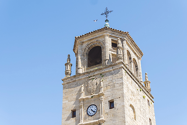 포토 JPG 해외이미지 아들 어린이 벽 시계 액자틀 사람없음 탑 궁전 도시 센터 중세 쇠사슬 그림 아치 정사각형 기념물 고딕 세기 안달루시아 진실 대리인 해외202004 해외포토 도형 건축물 액자 고건축 가족 모션 틀 사람 역사 스페인 파일형식 이미지허브
