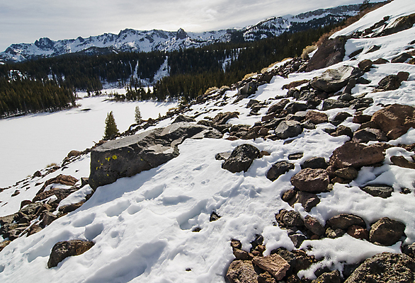 포토 JPG 해외이미지 응시 계절 호수 겨울 자연 풍경 경사 사람없음 야외 맑음 냉동 얼음 추위 흰색 소나무 캘리포니아 멸종위기동물 매머드 해외202004 해외포토 자연요소 나무 동물 시선 컬러 날씨 미국 생태계 파일형식 멸종위기종 이미지허브