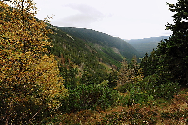 포토 JPG 해외이미지 나무 구름 계절 유럽 여행 백그라운드 자연 하늘 휴가 산 파노라마 풍경 사람없음 야외 초록색 환경 계곡 안개 가을 숲 언덕 내추럴 해외202004 해외포토 자연요소 식물 나라 컬러 날씨 촬영기법 생태계 파일형식 이미지허브