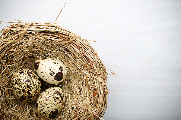 포토 JPG 해외이미지 동물 계절 음식 백그라운드 자연 부활절 사람없음 목재 장식 갈색 계란 봄 점 그룹 둥지 작음 먹기 심볼 오브젝트 유기농 날것 밀짚 메추리 해외202004 해외포토 나무 웰빙 기념일 컬러 재료 모션 알 짚 크기 생태계 파일형식 이미지허브