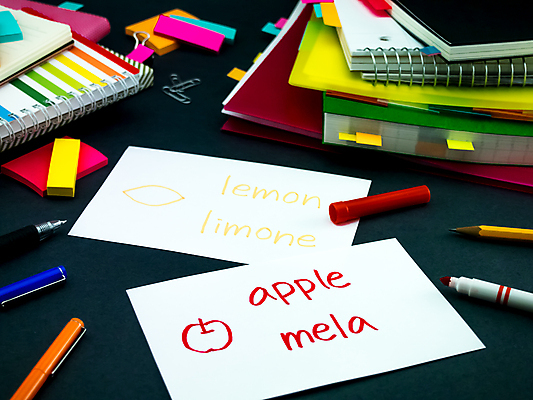 포토 JPG 해외이미지 학생 영어 교육 문화 텍스트 통신 교실 학교 수업 사람없음 책 단어 스터디 세계 글로벌 연필 펜 쪽지 공책 이탈리아 시험 퀴즈 가르침 사과 강의 사전 소셜 번역 해외202004 해외포토 문자 유럽 과일 문구용품 학용품 학습 필기구 파일형식 이미지허브