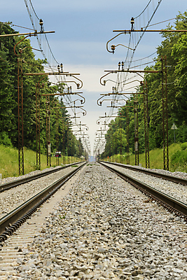 포토 JPG 해외이미지 나무 구름 선 여행 2 교통시설 외벽 풍경 사람없음 목재 못 쌍 숲 철 쌍둥이 부식 트랙 암초 평행 무한 직진 철강 해외202004 해외포토 자연요소 식물 벽 교통 재료 가족 공구 시설 파일형식 이미지허브