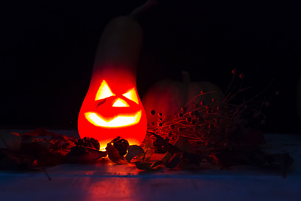 포토 JPG 해외이미지 호박 사람없음 장식 노란색 어둠 할로윈 가을 등불 O 10월 호러 해외202004 해외포토 알파벳 계절 컬러 채소 조명 날짜 공포 파일형식 이미지허브