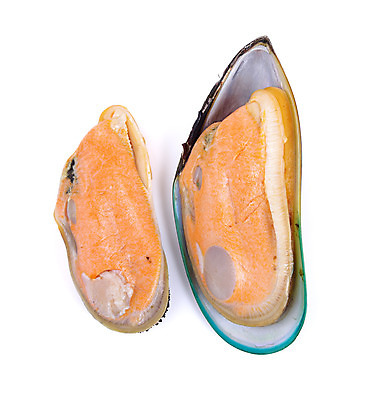 포토 JPG 해외이미지 음식 바다 백그라운드 조개 파슬리 건강 어류 요리 사람없음 요식업 식당 껍질 흰색 신선 맛 해산물 홍합 고립 해외202004 해외포토 산업 컬러 컨셉 채소 어패류 상점 수중동물 파일형식 이미지허브