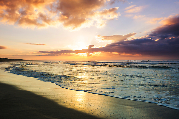 포토 JPG 해외이미지 실루엣 파도 바다 여행 백그라운드 자연 조류 휴가 휴식 산 풍경 사람없음 물 빛 모래사장 햇빛 태양 일출 미국 침묵 황혼 일몰 새벽 서핑 태평양 내추럴 감탄 특별함 환상 해외202004 해외포토 자연요소 동물 컨셉 북아메리카 촬영기법 노을 소리 수상스포츠 생태계 파일형식 이미지허브