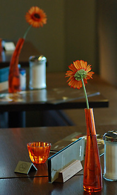 포토 JPG 해외이미지 식물 꽃 사람없음 장식 반사 연결 카네이션 해외202004 해외포토 파일형식 이미지허브