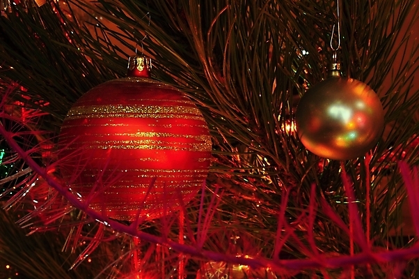 포토 JPG 해외이미지 전통 디자인 계절 행복 별 백그라운드 크리스마스 겨울 공 유리 벽지 휴가 새로움 기념 선물 미술 사람없음 장식 빨간색 파란색 빛 컬러풀 파티 보라색 축제 기쁨 장식볼 흰색 축하 원형 황금 12월 연도 묘사 오브젝트 활 고립 여의주 해외202004 해외포토 자연요소 도형 기념일 감정 컬러 컨셉 재질 문화예술 이벤트 날짜 파일형식 이미지허브