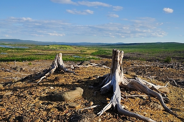 포토 JPG 해외이미지 구름 자연 건조 풍경 사람없음 야외 목재 여름 환경 바위 숲 언덕 부식 뿌리 가뭄 타운 교외 해외202004 해외포토 자연요소 나무 계절 재료 날씨 돌_바위 도시 생태계 파일형식 이미지허브