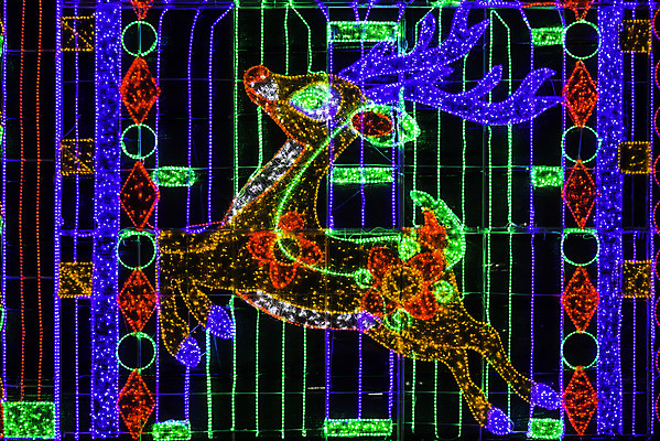 포토 JPG 해외이미지 동물 전통 디자인 계절 행복 백그라운드 크리스마스 태국 추상 휴가 불꽃 새해 기념 어류 사람없음 장식 빛 컬러풀 우주 축제 램프 인사 고급 야간 방콕 마법 순록 주도 해외202004 해외포토 자연요소 기념일 감정 아시아 컬러 컨셉 무늬 불 조명 수중동물 예절 파일형식 이미지허브