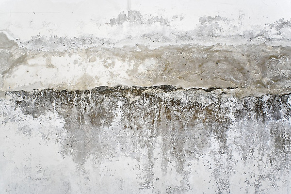 포토 JPG 해외이미지 산업 벽 백그라운드 패턴 건축양식 표면 날씨 추상 따뜻함 사람없음 손상 회색 수확 흰색 도시 얼룩 거친 버리기 묘사 부식 질감 복고 시멘트 노출 구식 그런지 깨짐 옛날 콘크리트 노화 해외202004 해외포토 건축 컬러 컨셉 무늬 농업 모션 파일형식 이미지허브