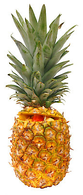 포토 JPG 해외이미지 음식 백그라운드 다이어트 과일 딸기 디저트 건강 종류 사람없음 컬러풀 샐러드 신선 달콤 아침식사 사과 자르기 가득함 망고 내추럴 점심식사 고립 숙성 채식주의자 해외202004 해외포토 컬러 모션 식사 맛 열대과일 채식 파일형식 이미지허브