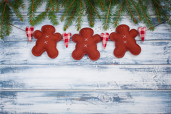 포토 JPG 해외이미지 모양 나무 전통 계절 행복 음식 백그라운드 크리스마스 겨울 휴가 디저트 새해 주택 사람없음 목재 장식 갈색 쿠키 축제 화환 수확 흰색 나뭇가지 하트 시골 축하 대접 신용카드 달콤 바느질 복고 생강 프랑스어 고립 노엘 돌봄 펠트 핸드메이드 가문비나무 해외202004 해외포토 식물 문자 기념일 꽃 감정 컬러 컨셉 농업 채소 재료 모션 건물 금융 맛 파일형식 천_직물 이미지허브