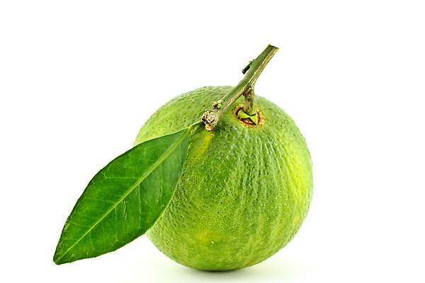 포토 JPG 해외이미지 식물 음식 백그라운드 잎 농업 다이어트 오렌지 과일 재료 자연 귤 건강 사람없음 초록색 주스 수확 흰색 신선 원형 닫기 달콤 맛 먹기 싱글 유기농 날것 내추럴 고립 채식주의자 해외202004 해외포토 도형 웰빙 산업 음료 컬러 컨셉 모션 생태계 채식 파일형식 이미지허브