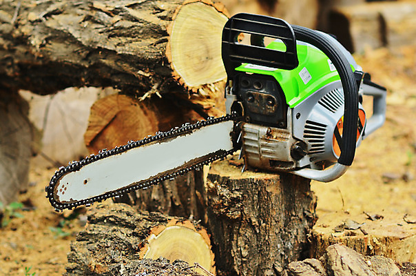 포토 JPG 해외이미지 나무 직업 손 산업 포즈 자연 노동자 수염 사람 성인 사람없음 야외 목재 빛 갈색 힘 기계 일몰 장비 공구 소나무 업무 칼날 숲 헬멧 장작 자르기 통나무 먼지 도끼 잡동사니 벌목 솜씨 수목 재주꾼 전기톱 톱밥 해외202004 해외포토 식물 컬러 재료 모션 신체부위 노을 도구 작업 보호장비 가루 생태계 톱 파일형식 이미지허브