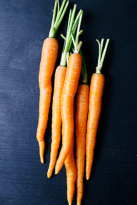 포토 JPG 해외이미지 줄기 검은배경 사람없음 당근 해외포토 식물 백그라운드 뿌리채소 검은색 파일형식 이미지허브