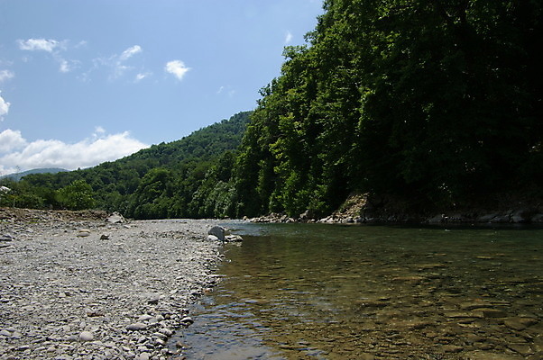 포토 JPG 해외이미지 파도 잎 모션 자연 산 풍경 사람없음 야외 초록색 물 여름 파란색 강 환경 흐름 바위 신선 개울 숲 속도 지역 해외202004 해외포토 자연요소 식물 계절 바다 컬러 컨셉 돌_바위 생태계 파일형식 이미지허브