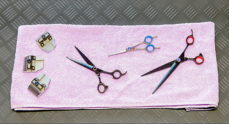 포토 JPG 해외이미지 동물 직업 디자인 백그라운드 신체 장신구 프레임 사람없음 반려동물 유행 상점 검은색 고양이 장비 욕실 흰색 공구 붓 머리빗 못 개 청소 오브젝트 클립 손질 고무 수의사 몸단장 송곳니 고립 돌봄 위생관리 집게발 커터 페디큐어 해외202004 해외포토 컬러 포유류 모션 관리 뷰티 의사 도구 미용용품 치아 파일형식 이미지허브