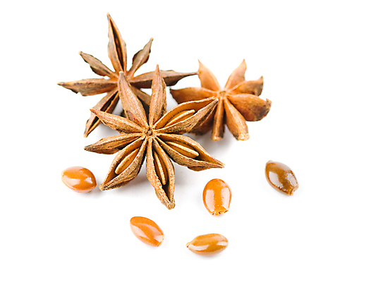 포토 JPG 해외이미지 아시아 별 백그라운드 재료 건조 건강 요리 씨앗 사람없음 목재 장식 갈색 흰색 양념 그룹 맛 먹기 향신료 묘사 준비 유기농 질감 날것 향 카레 성분 내추럴 고립 꼬투리 식용 이국적 많음 해외202004 해외포토 자연요소 나무 식물 웰빙 나라 음식 컬러 컨셉 모션 향미료 파일형식 이미지허브