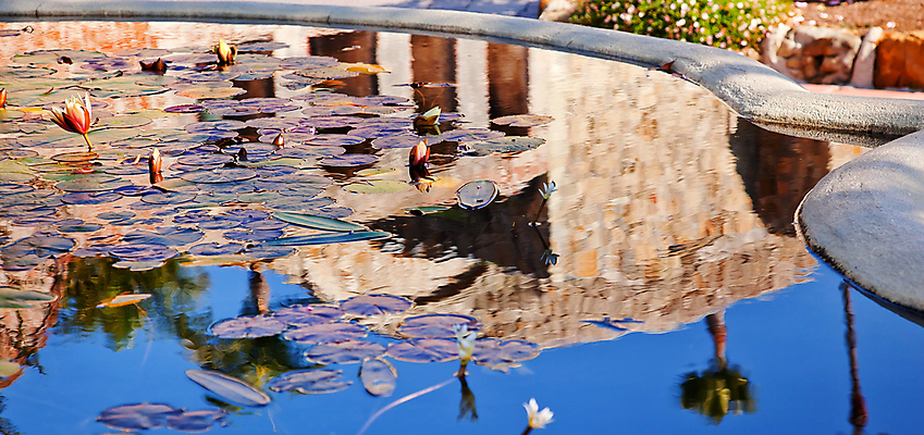 포토 JPG 해외이미지 건축양식 추상 사람없음 야외 건물 야자수 반사 교회 정원 연못 당구 분수 폐허 캘리포니아 옛날 해외202004 해외포토 나무 건축물 건축 무늬 종교건축 구기 미국 파일형식 이미지허브