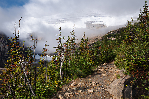 포토 JPG 해외이미지 구름 길 여행 캐나다 북아메리카 자국 자연 하늘 휴가 산 파노라마 국립공원 풍경 사람없음 야외 관광지 환경 트래킹 하이킹 시골 정상 오솔길 생태계 암초 내추럴 방법 앨버타 절정 산맥 해외202004 해외포토 자연요소 공원 레저 촬영기법 아메리카 파일형식 이미지허브