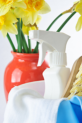 포토 JPG 해외이미지 장갑 사람없음 초록색 파란색 노란색 꽃병 봄 먼지떨이 청소 분무기 수선화 걸레 고무 노즐 항목 해외202004 해외포토 잡화 계절 꽃 컬러 청소도구 파일형식 이미지허브