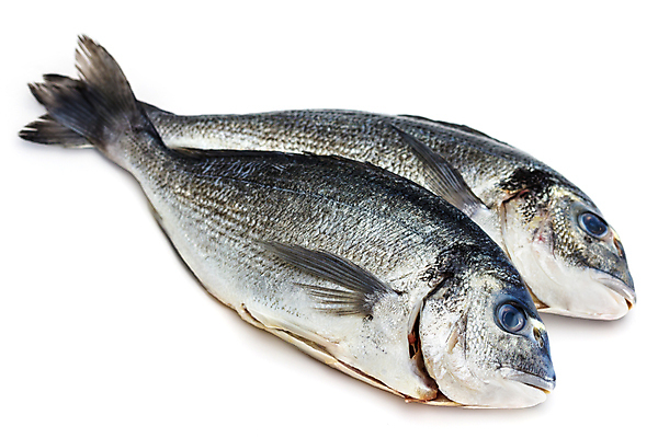 포토 JPG 해외이미지 동물 산업 음식 바다 백그라운드 재료 자연 낚시 건강 육류 어류 요리 사람없음 목재 식당 식사 저녁식사 흰색 시골 신선 시장 맛 지중해 먹기 레몬 해산물 상쾌 날것 도미 라임 점심식사 고립 넘어짐 생식 해외202004 해외포토 나무 감정 컬러 컨셉 과일 식재료 모션 레저 상점 수중동물 생태계 파일형식 이미지허브