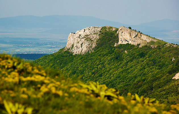 포토 JPG 해외이미지 나무 계절 여행 자연 하늘 산 풍경 사람없음 야외 목재 초록색 여름 농경지 환경 봄 시골 숲 땅 언덕 장면 내추럴 생태학 절정 수평선 해외202004 해외포토 식물 교육 컬러 재료 농장 생태계 파일형식 이미지허브