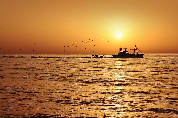 포토 JPG 해외이미지 직업 바다 비즈니스 갈매기 낚시 항해 어류 어업 사람없음 옆모습 물 태양 일출 환경 일몰 새벽 장비 게임 잡기 그물 어선 보트 당기기 빨래 큼 지중해 함선 상업 해군 엔진 어장 해외202004 해외포토 자연요소 산업 뷰포인트 가사 모션 놀이 조류 레저 군대 노을 수중동물 배 크기 선박 파일형식 이미지허브