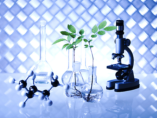 포토 JPG 해외이미지 식물 실내 현미경 실험 사람없음 액체 화학 실험실 플라스크 비커 화학실험 분자구조모형 해외202004 해외포토 과학 실험기구 내부 모형 분자구조 파일형식 이미지허브