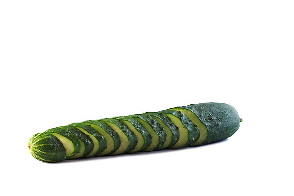 포토 JPG 해외이미지 식물 음식 백그라운드 잎 농업 채소 자연 오이 사람없음 정원 성장 흰색 나뭇가지 침대 묘사 고립 해외202004 해외포토 나무 산업 컬러 가구 생태계 파일형식 이미지허브