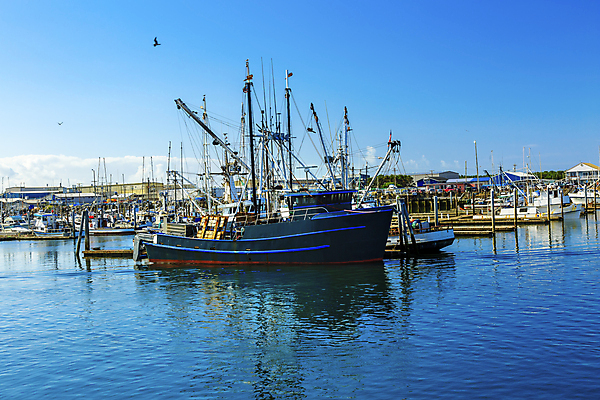 포토 JPG 해외이미지 바다 여행 요트 교통시설 낚시 항해 풍경 사람없음 물 여름 컬러풀 반사 항구 소리 만 어선 보트 정박 함선 포트 나루 뱃놀이 워싱턴 해외202004 해외포토 자연요소 계절 컬러 교통 배_교통 레저 전통놀이 미국 시설 파일형식 이미지허브