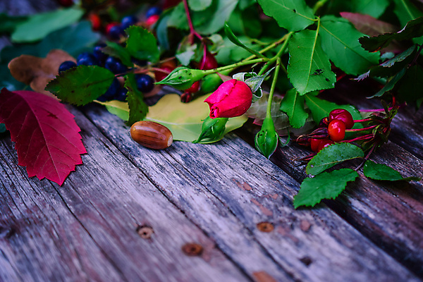 포토 JPG 해외이미지 식물 옷 공원 열매 꽃 어린이 음식 분홍색 신발 잎 크리스마스 2 벤치 과일 자연 포도 새로움 부츠 건강 사람없음 목재 장식 빨간색 초록색 장미 갈색 유행 산책 가을 흰색 아기 신선 쌍 샌들 가죽 다발 오브젝트 고무 내추럴 고립 숙성 양발 총각무 스타일 해외202004 해외포토 나무 계절 공공시설 기념일 컬러 컨셉 의자 재료 휴식 사람 무 생태계 파일형식 이미지허브