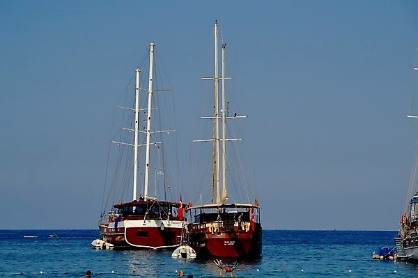 포토 JPG 해외이미지 사람없음 여름 박쥐 해외202004 해외포토 계절 포유류 파일형식 이미지허브