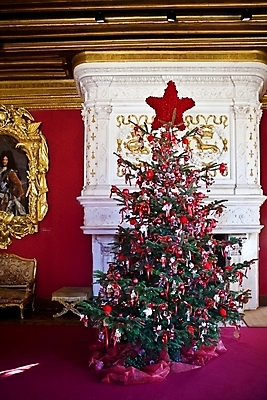 포토 JPG 해외이미지 나무 크리스마스 겨울 휴가 주택 실내 사람없음 내부 장식 빨간색 방 축하 벽난로 해외202004 해외포토 식물 계절 기념일 컬러 컨셉 건물 파일형식 이미지허브