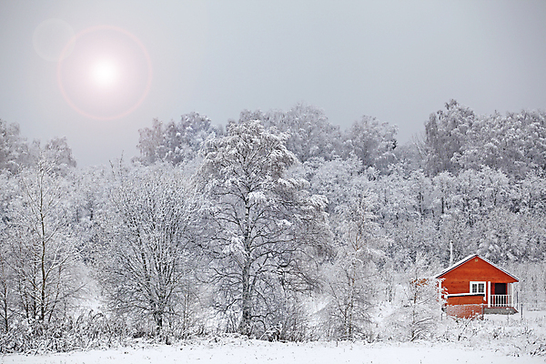 포토 JPG 해외이미지 주간 나무 겨울 하늘 주택 사람없음 야외 햇빛 설원 겨울풍경 해외202004 해외포토 자연요소 식물 계절 눈_날씨 풍경 건물 태양 파일형식 이미지허브